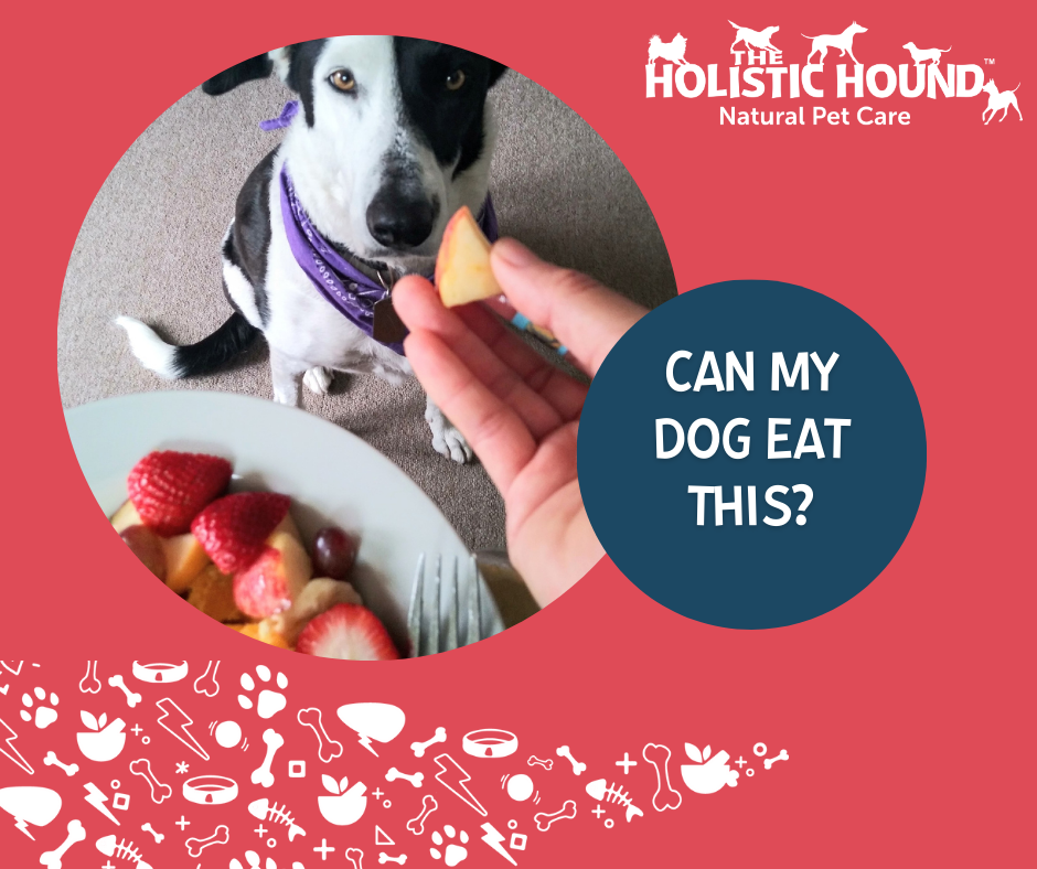 Can My Dog Eat This? - Apples